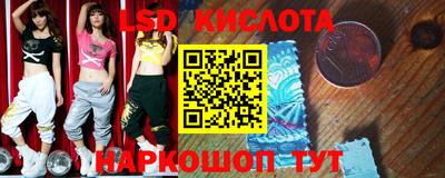 гидра Владимир