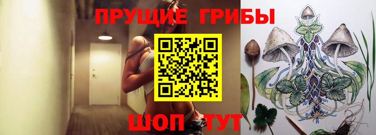 Псилоцибиновые грибы Psilocybe  Вход с VPN  Скопин  Галлюциногенные грибы GOLDEN TEACHER 